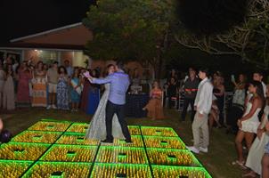 Plantas: imagem 9 de 15
